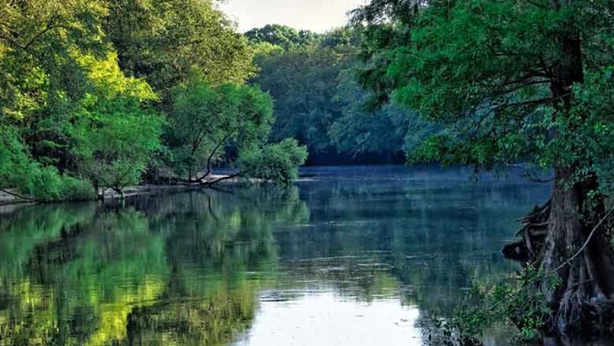 A quiet Lowcountry river lined with cypress trees